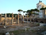 ROMA-FORI ROMANI 2.JPG
